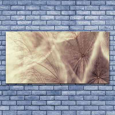 Photo sur toile Pissenlit floral gris