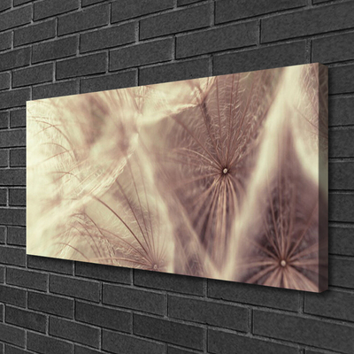 Photo sur toile Pissenlit floral gris