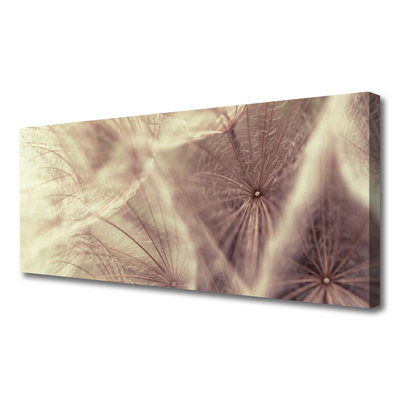 Photo sur toile Pissenlit floral gris