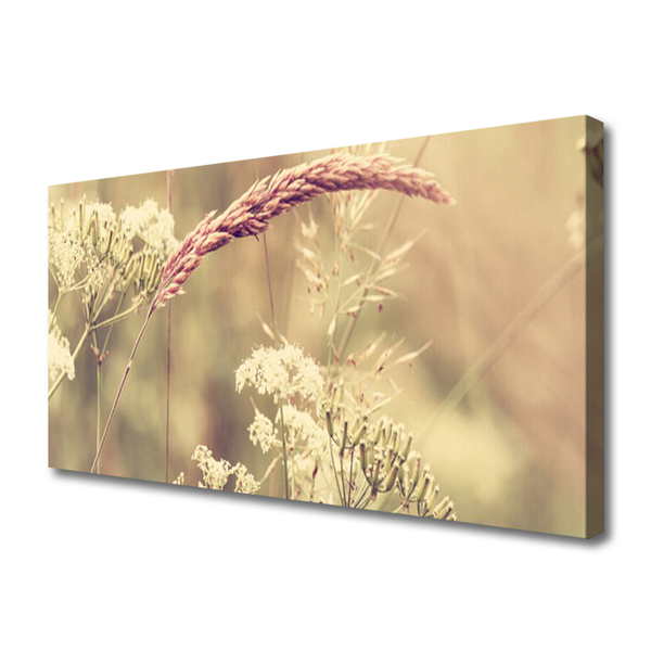 Photo sur toile Plantes sauvages floral blanc brun