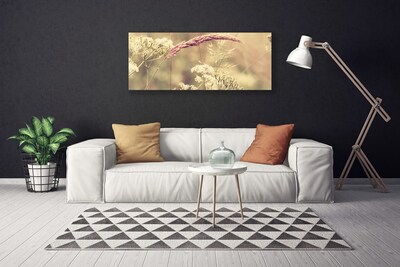 Photo sur toile Plantes sauvages floral blanc brun