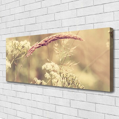 Photo sur toile Plantes sauvages floral blanc brun