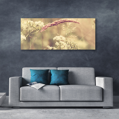 Photo sur toile Plantes sauvages floral blanc brun