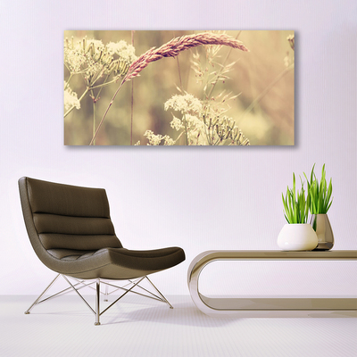 Photo sur toile Plantes sauvages floral blanc brun