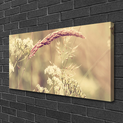 Photo sur toile Plantes sauvages floral blanc brun