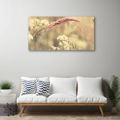 Photo sur toile Plantes sauvages floral blanc brun