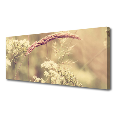 Photo sur toile Plantes sauvages floral blanc brun