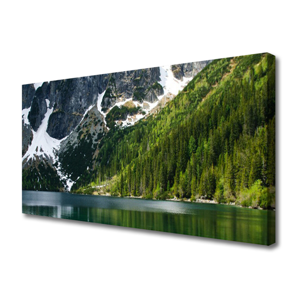 Photo sur toile Lac montagnes forêt paysage gris blanc vert