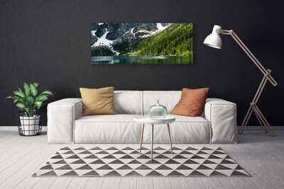 Photo sur toile Lac montagnes forêt paysage gris blanc vert