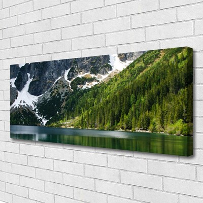 Photo sur toile Lac montagnes forêt paysage gris blanc vert