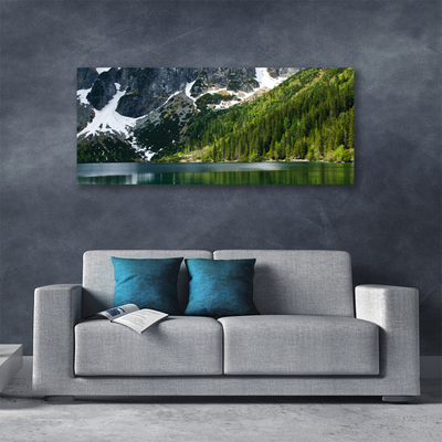 Photo sur toile Lac montagnes forêt paysage gris blanc vert