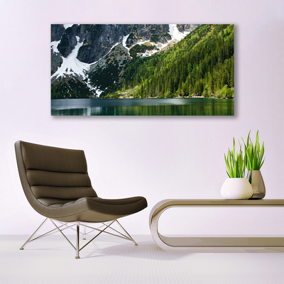 Photo sur toile Lac montagnes forêt paysage gris blanc vert