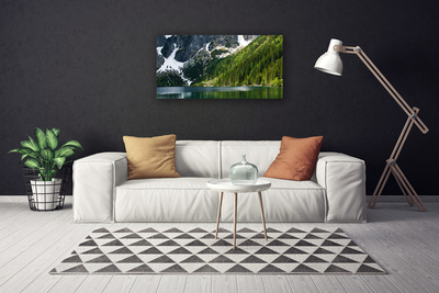 Photo sur toile Lac montagnes forêt paysage gris blanc vert