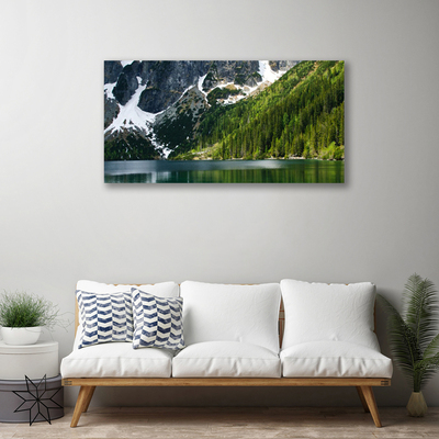 Photo sur toile Lac montagnes forêt paysage gris blanc vert