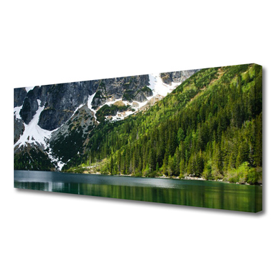 Photo sur toile Lac montagnes forêt paysage gris blanc vert