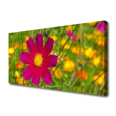 Photo sur toile Fleur floral jaune rouge