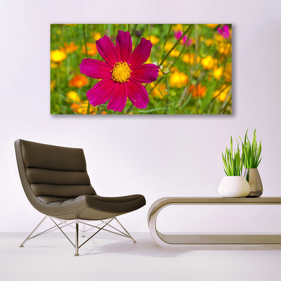 Photo sur toile Fleur floral jaune rouge