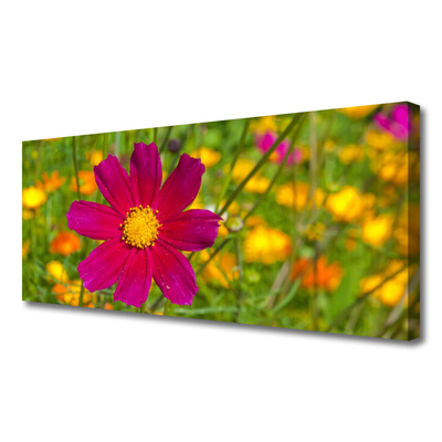 Photo sur toile Fleur floral jaune rouge