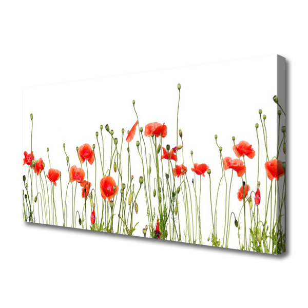 Photo sur toile Coquelicots floral rouge vert