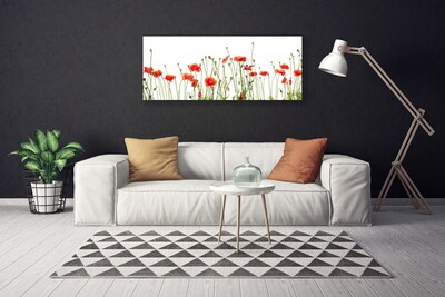 Photo sur toile Coquelicots floral rouge vert