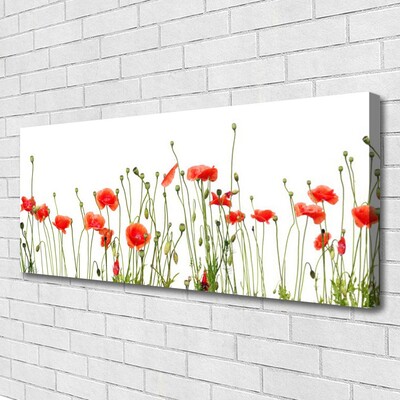 Photo sur toile Coquelicots floral rouge vert