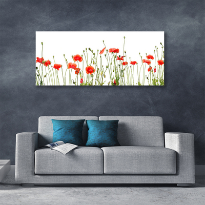 Photo sur toile Coquelicots floral rouge vert