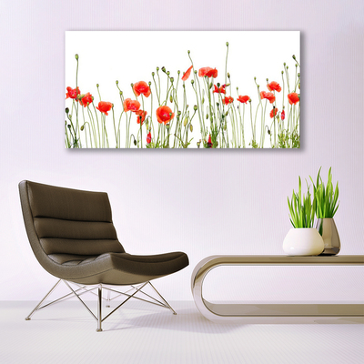 Photo sur toile Coquelicots floral rouge vert