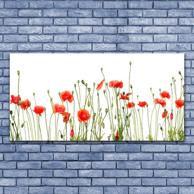 Photo sur toile Coquelicots floral rouge vert