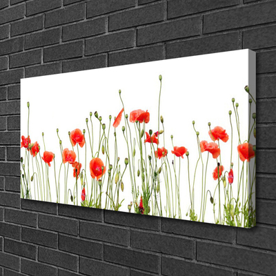 Photo sur toile Coquelicots floral rouge vert