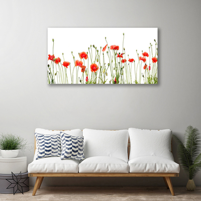 Photo sur toile Coquelicots floral rouge vert