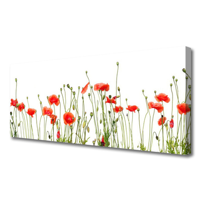 Photo sur toile Coquelicots floral rouge vert