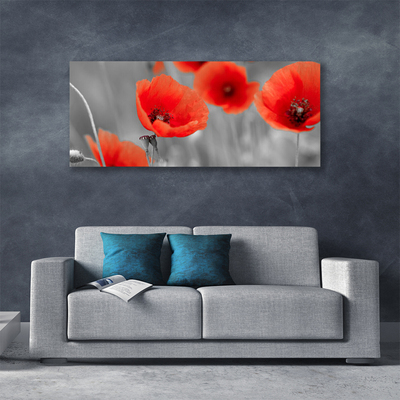 Photo sur toile Coquelicots floral rouge gris