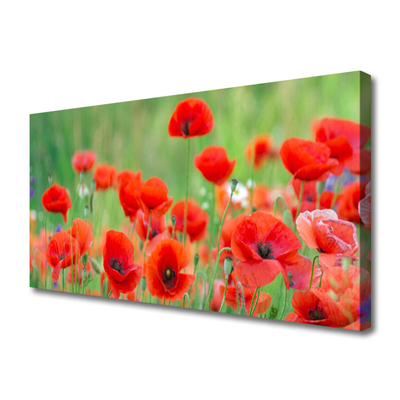 Photo sur toile Coquelicots floral rouge noir