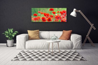 Photo sur toile Coquelicots floral rouge noir