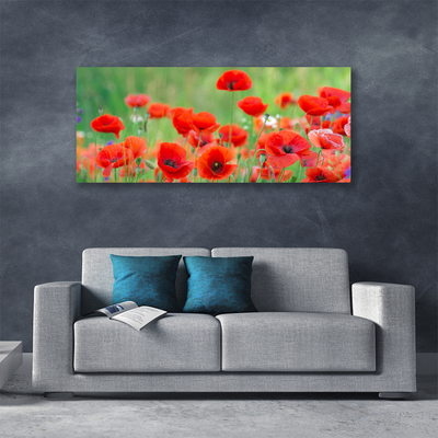 Photo sur toile Coquelicots floral rouge noir