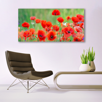 Photo sur toile Coquelicots floral rouge noir