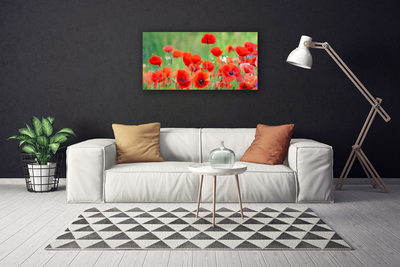 Photo sur toile Coquelicots floral rouge noir