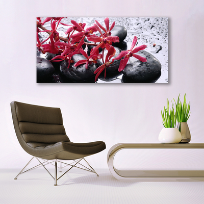 Photo sur toile Pierres fleurs art noir rouge