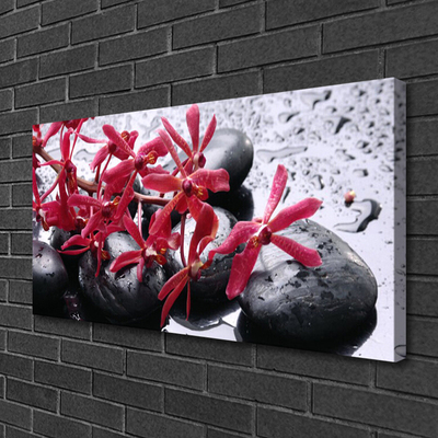 Photo sur toile Pierres fleurs art noir rouge