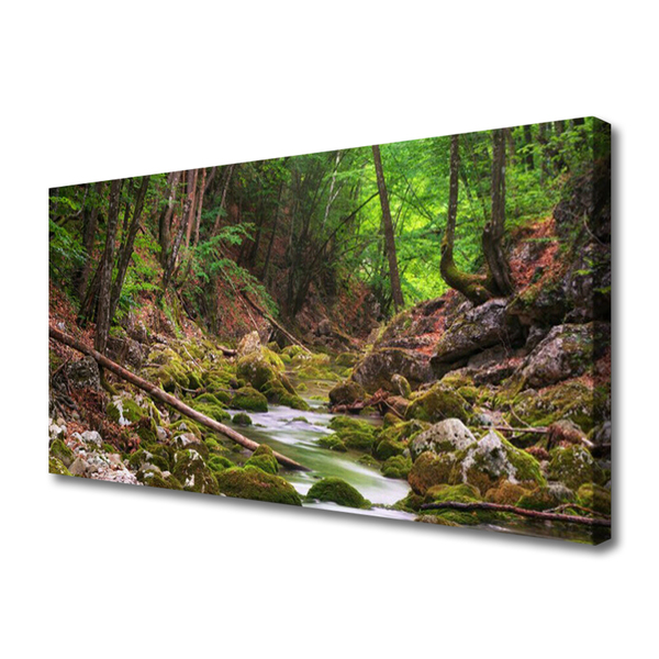 Photo sur toile Forêt nature brun vert