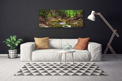 Photo sur toile Forêt nature brun vert