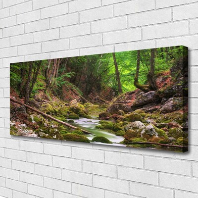 Photo sur toile Forêt nature brun vert