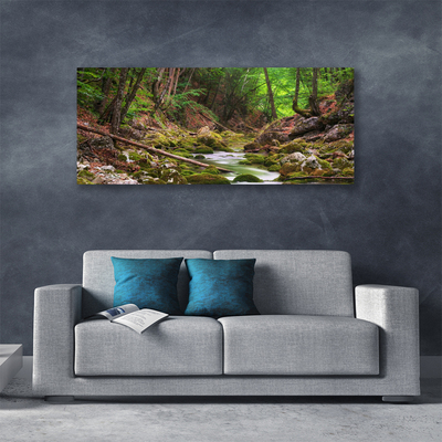 Photo sur toile Forêt nature brun vert