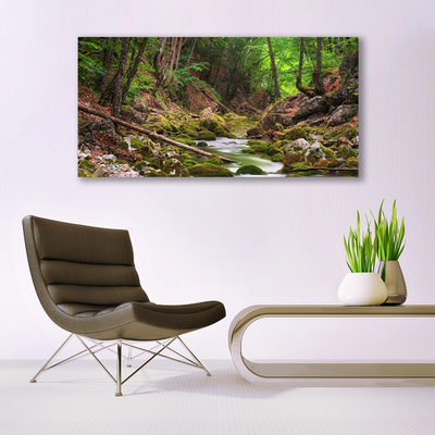 Photo sur toile Forêt nature brun vert