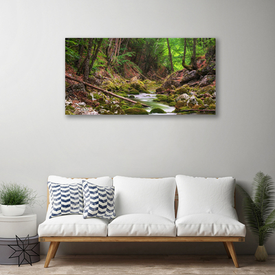 Photo sur toile Forêt nature brun vert