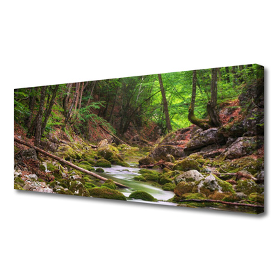 Photo sur toile Forêt nature brun vert