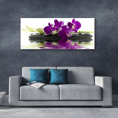 Photo sur toile Fleurs floral rose