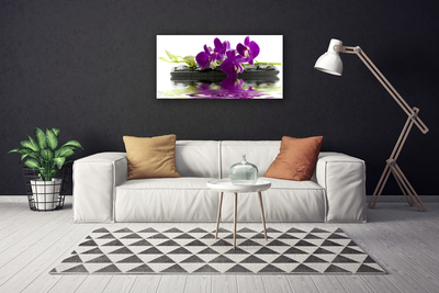 Photo sur toile Fleurs floral rose