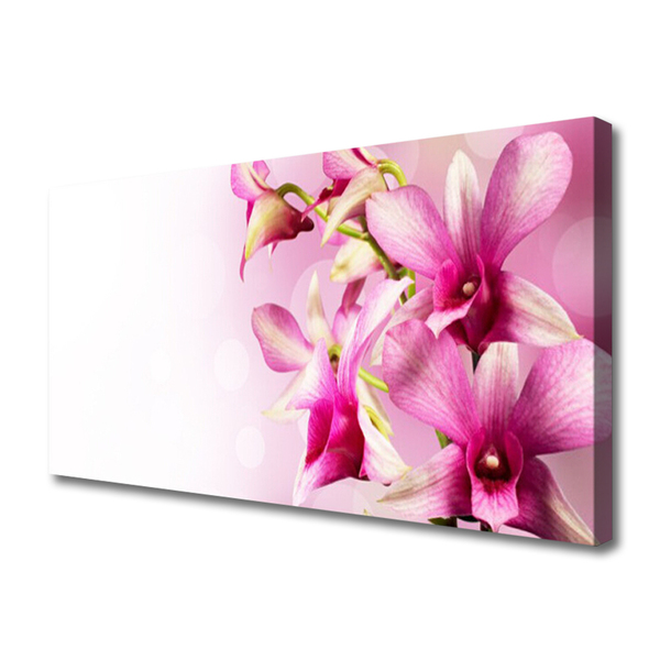 Photo sur toile Fleurs floral rose