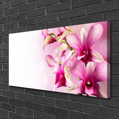 Photo sur toile Fleurs floral rose